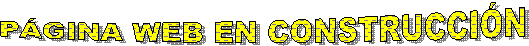 P&Aacute;GINA WEB EN CONSTRUCCI&Oacute;N
